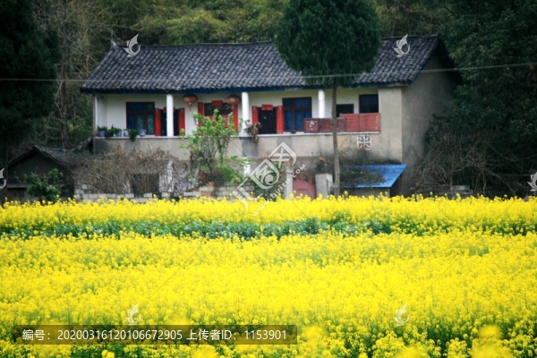 農(nóng)家春色