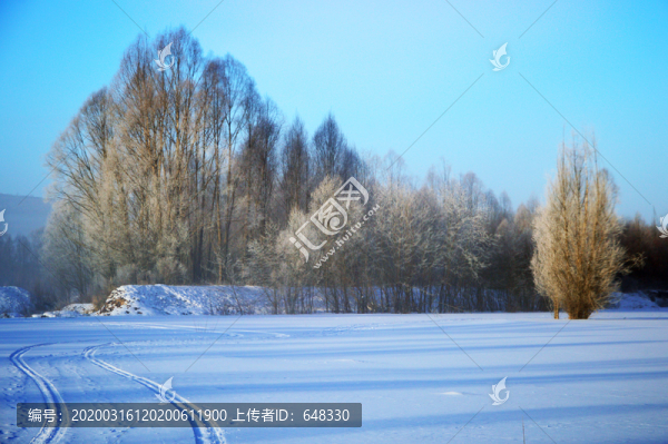 樹林