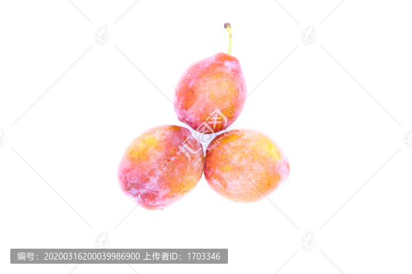 西梅