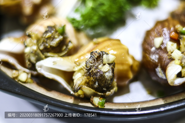 鹽焗海螺