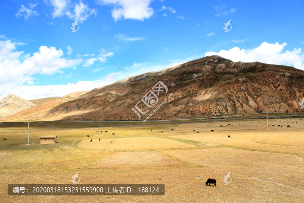 草原風光