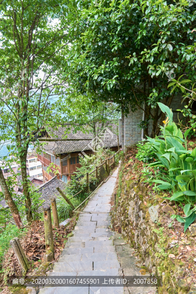 綠道