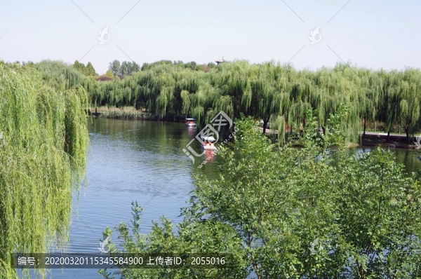公園風(fēng)景