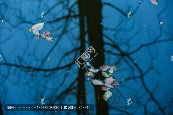 水紋