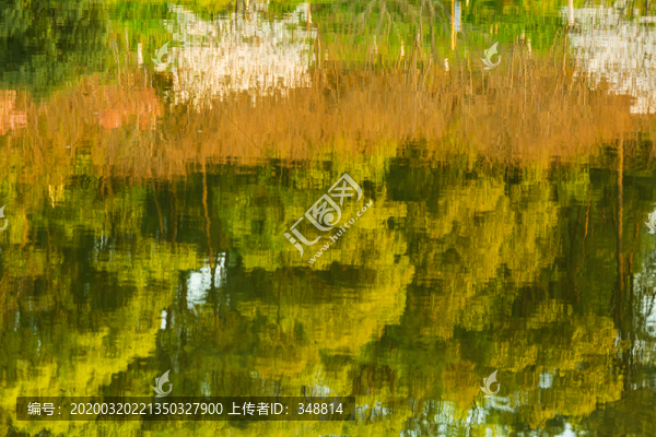 水紋