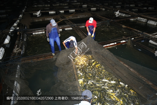 海魚(yú)養(yǎng)殖場(chǎng)