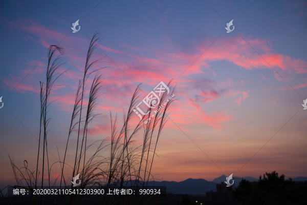 彩云