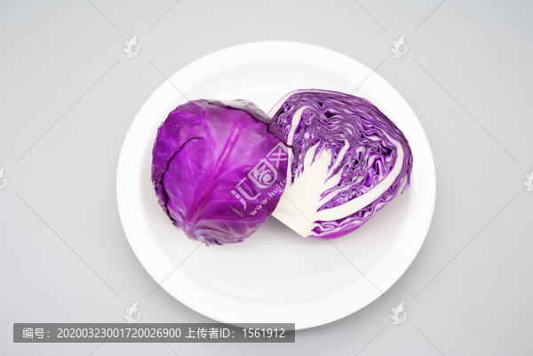 紫甘藍(lán)