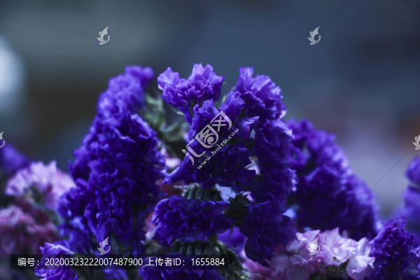 干花