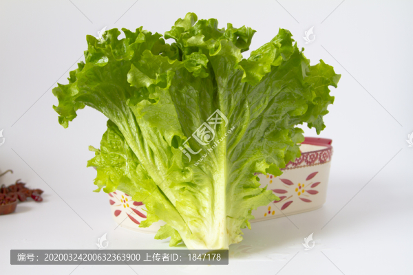 生菜