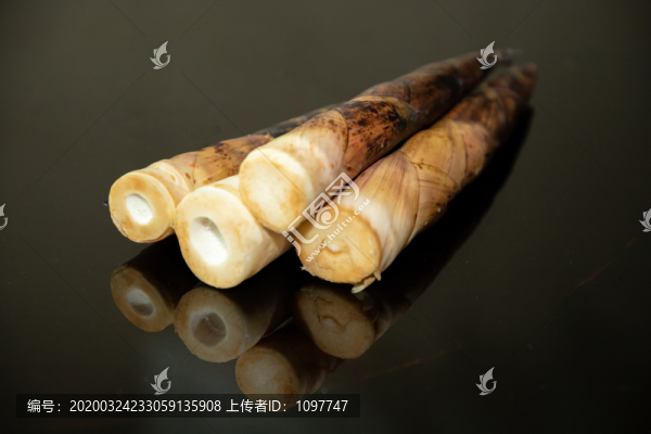 春筍