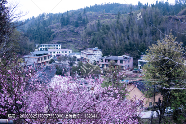 山村桃花