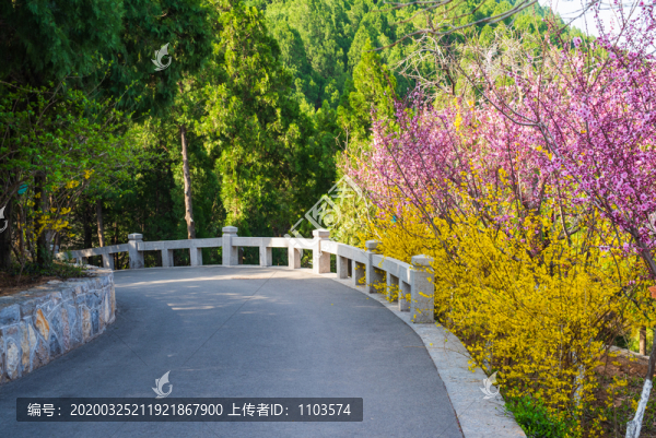 濟南佛慧山048