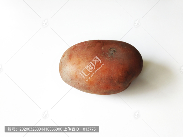 紅皮土豆
