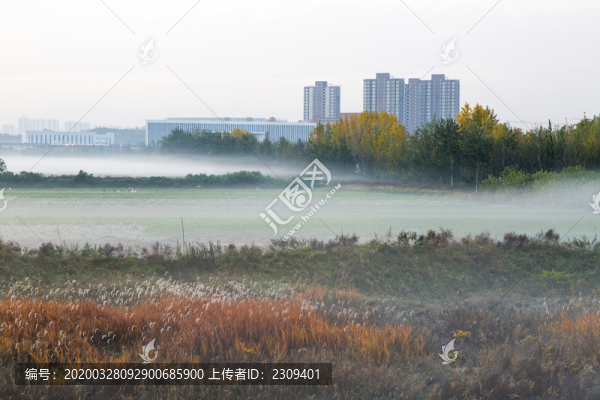 霧景