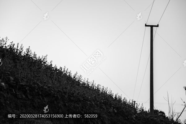 黑白光影