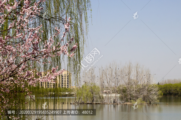 灞橋濕地公園生態(tài)