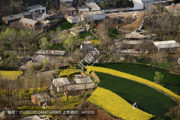 山村春色