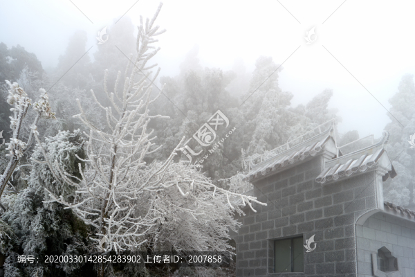 雪景