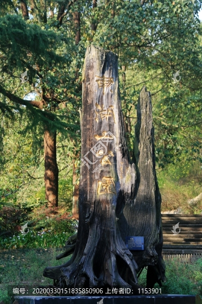 東湖山公園
