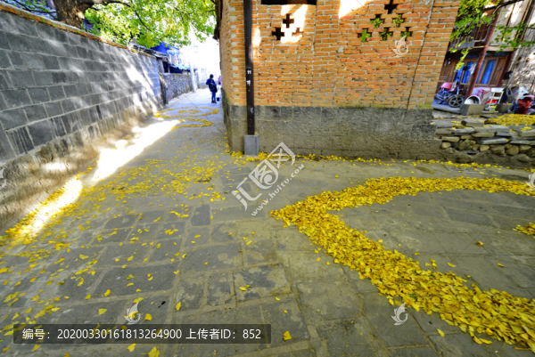 云南騰沖