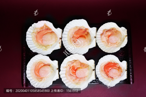 海鮮水產(chǎn)扇貝