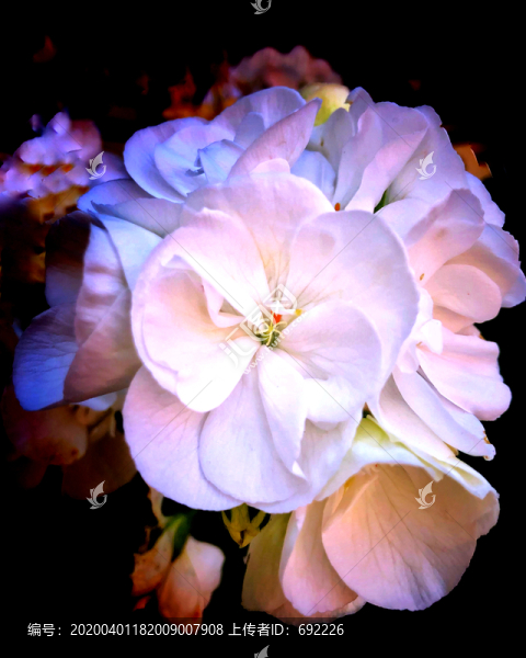 花
