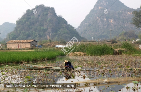 云南文山丘北普者黑