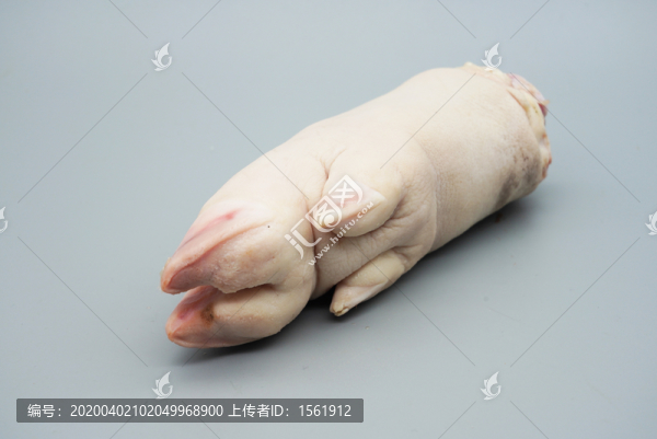 生鮮豬蹄