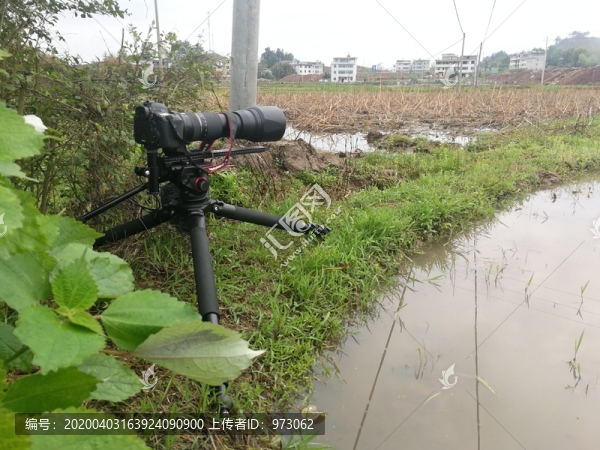 田野之間