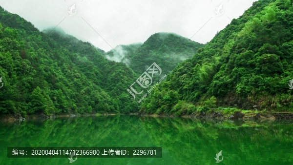 青山綠水自然森林樹林綠色植被
