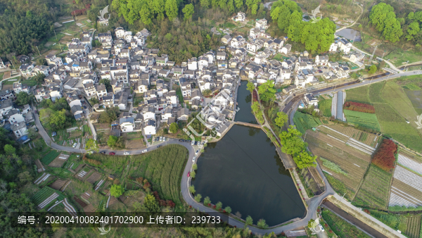 美麗鄉(xiāng)村琶塘