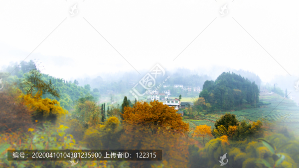 龍華風(fēng)水寶地