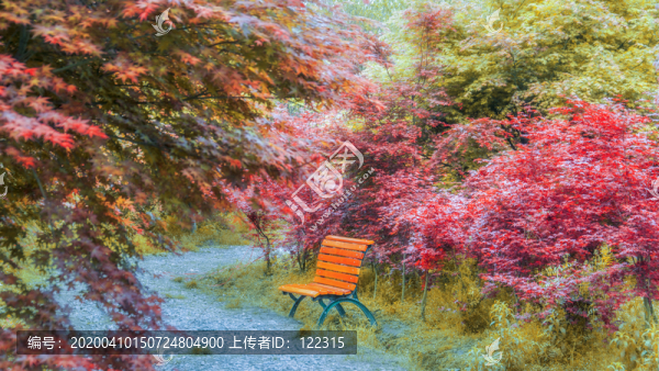 公園里的長椅