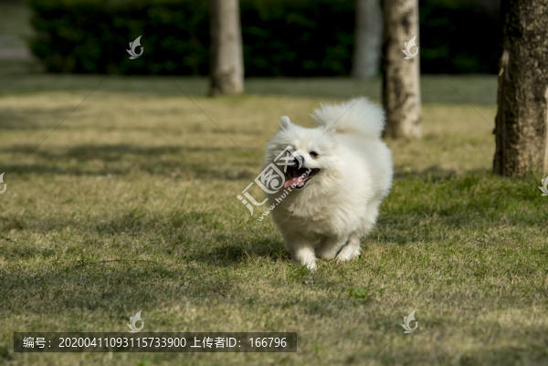 奔跑