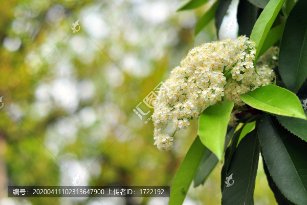 南京總統(tǒng)府花園