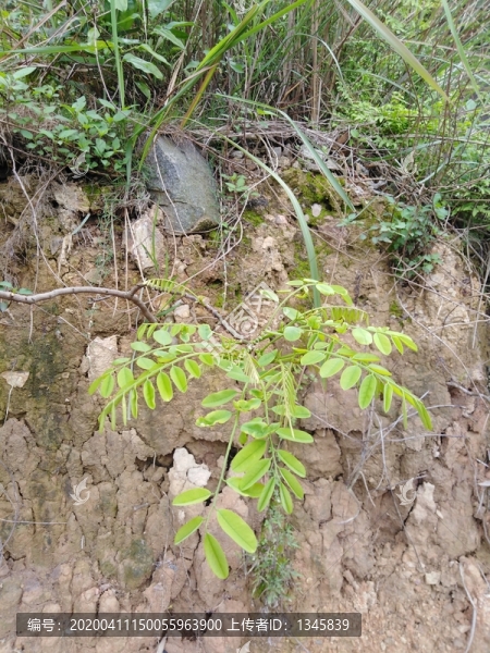 黃泥土背景紋理