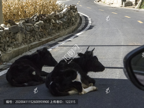 小心駕駛
