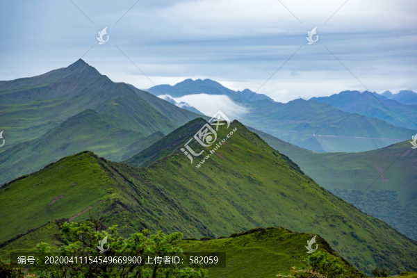 高原牧場(chǎng)