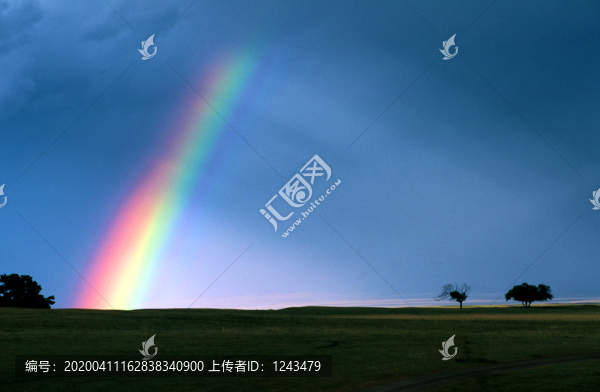 原野巨虹