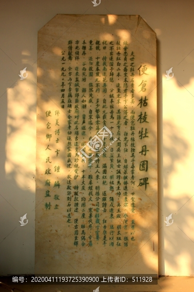 江蘇鹽城枯枝牡丹園