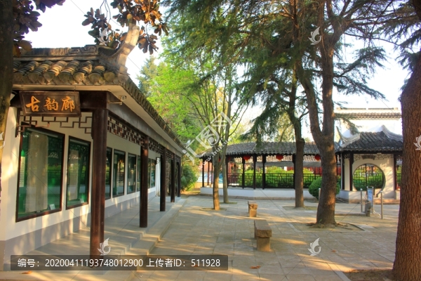 江蘇鹽城枯枝牡丹園