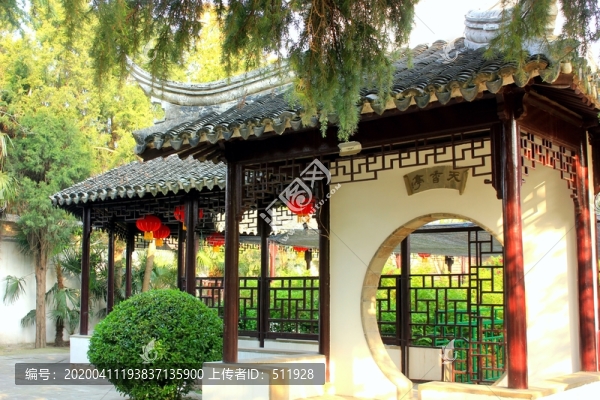 江蘇鹽城枯枝牡丹園