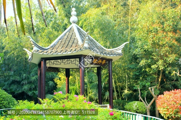 江蘇鹽城枯枝牡丹園