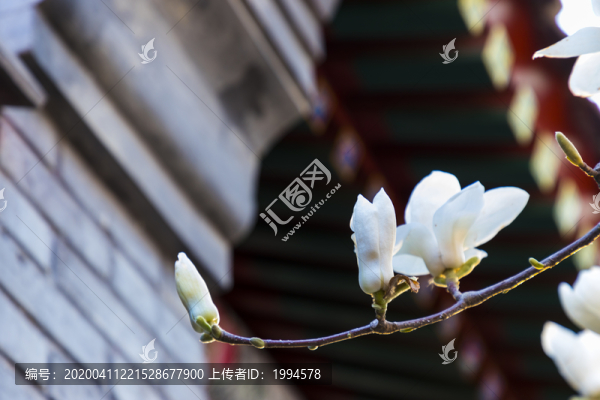 四合院