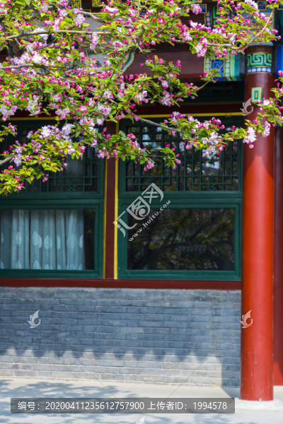四合院