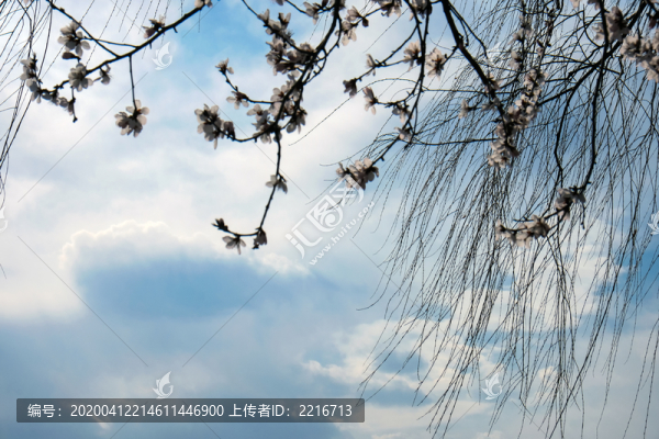 春暖花開(kāi)