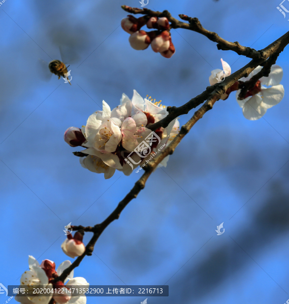 春暖花開