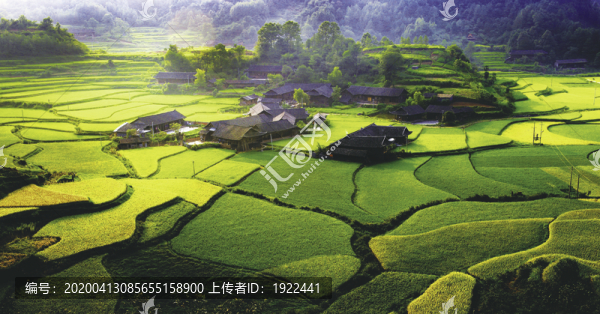 田園風(fēng)光