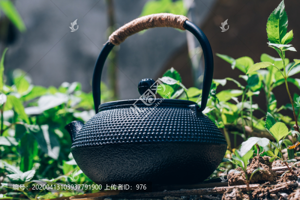 鐵壺
